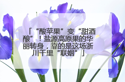 “酸苹果”变“甜酒酿”！盐源高原果的华丽转身，靠的是这场浙川千里“联姻”